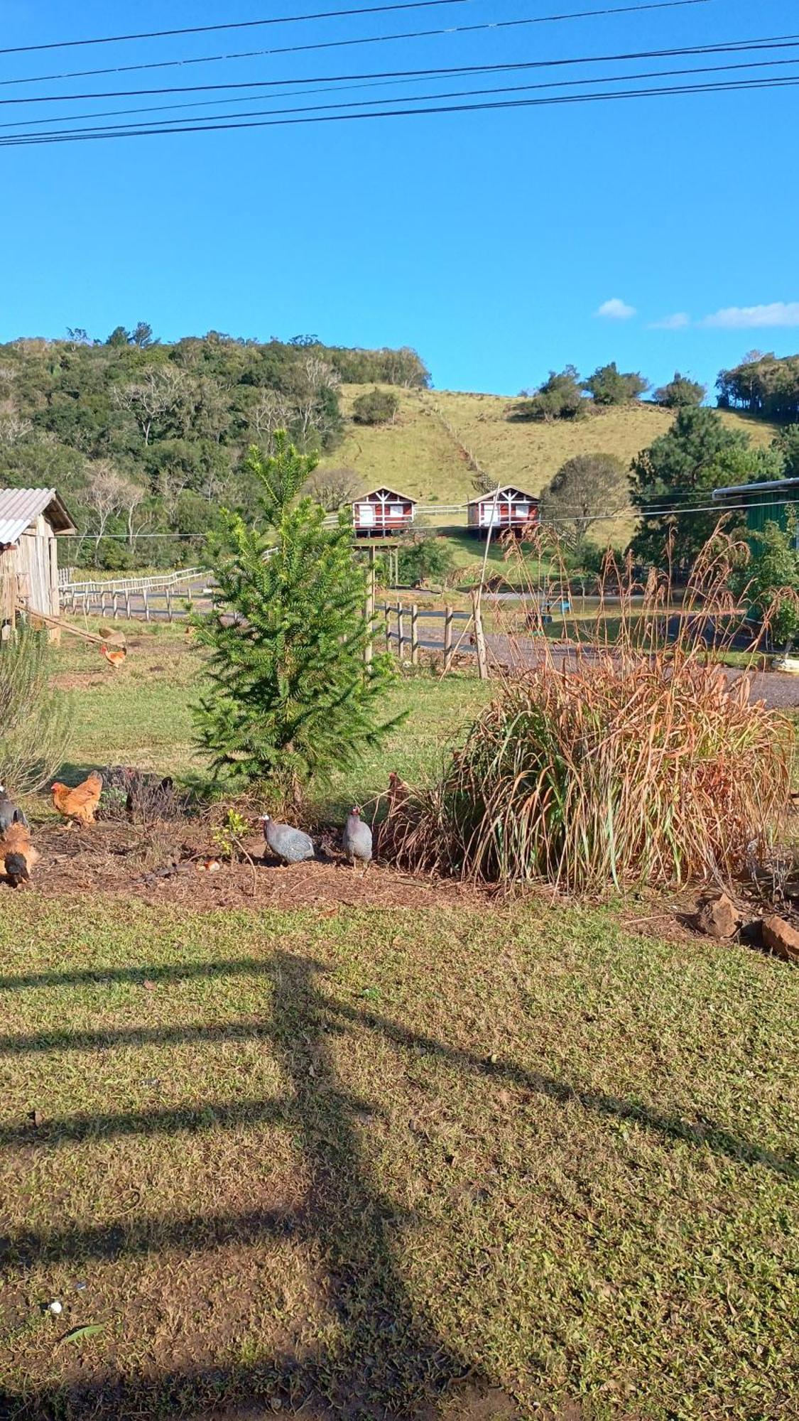 Pousada Rancho Do Lago 奥索里乌 客房 照片