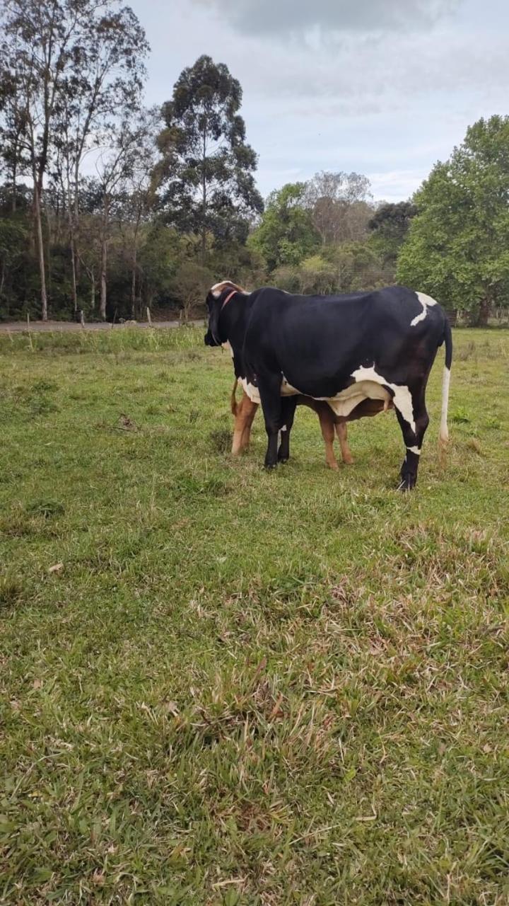 Pousada Rancho Do Lago 奥索里乌 外观 照片